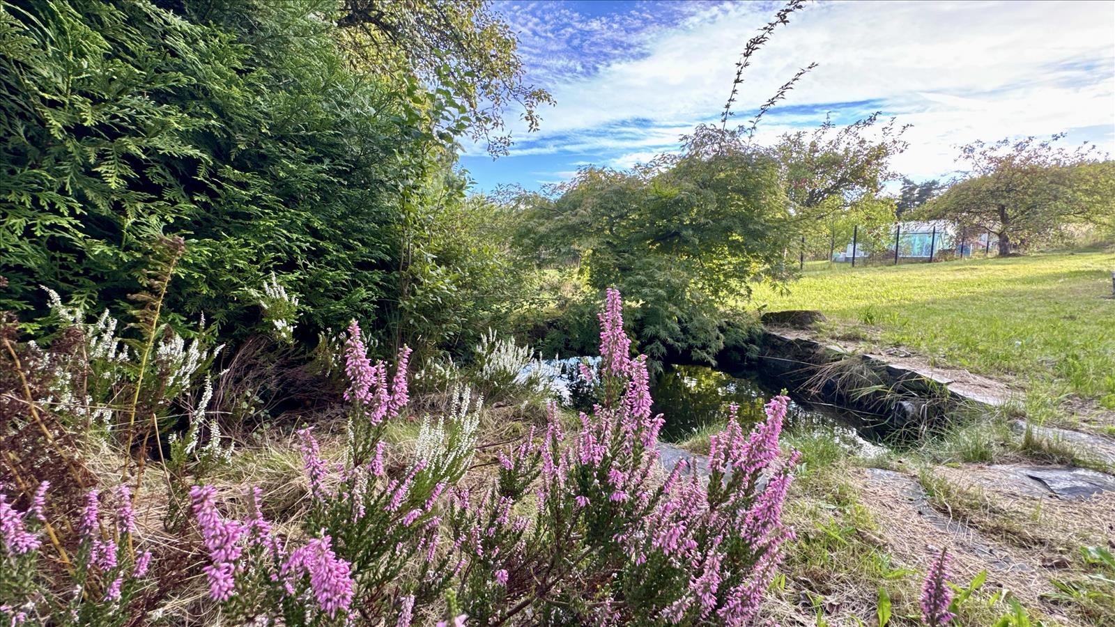 638950184181716270_DJI_20250915_172315_602.jpg