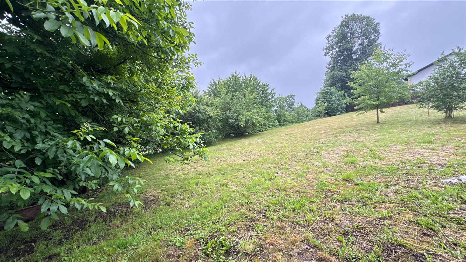 639252102490493831_DJI_20260610_181124_681.JPG
